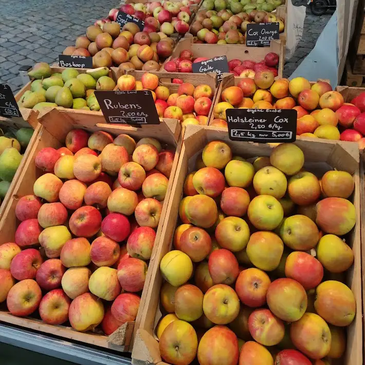 Äpfel - Rubens und Holsteiner Cox