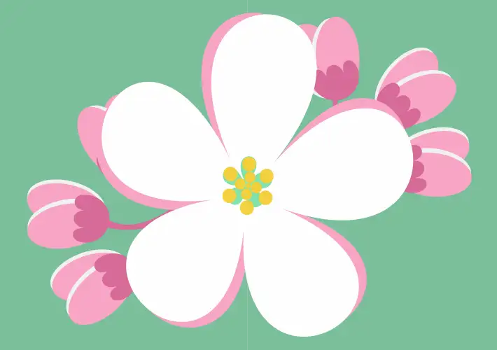 Obstblüte Grafik