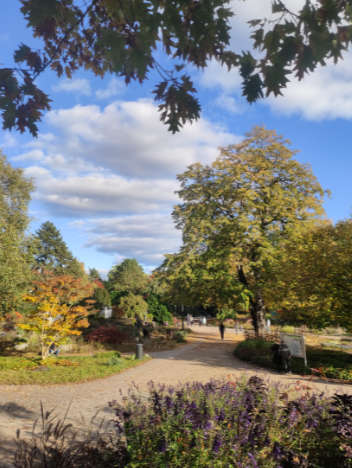 Planten un Blomen - Park in Hamburg