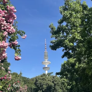 Hamburg Planten un Blomen mit Fernsehturm Foto