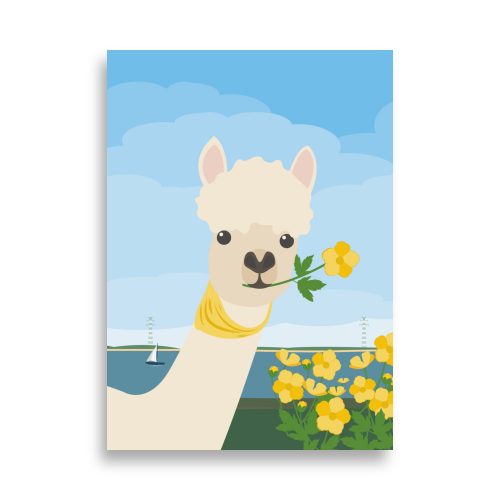 Alpaka Poster Norddeutschland