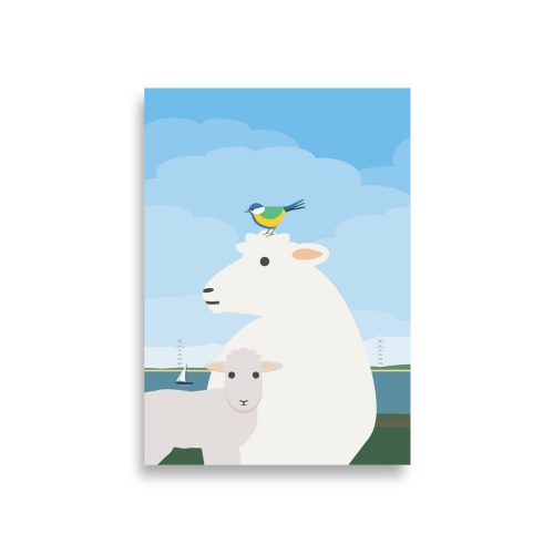 poster schaf lamm